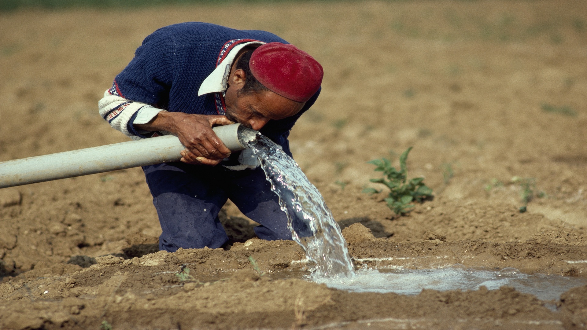 مختصون حذروا من  تأثيراتها الصحية والبيئية .. تداعيات "خطيرة" للتغيرات المناخية 